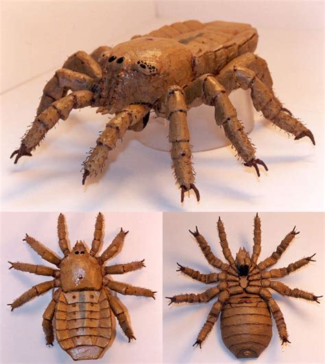 ancient giant spiders
